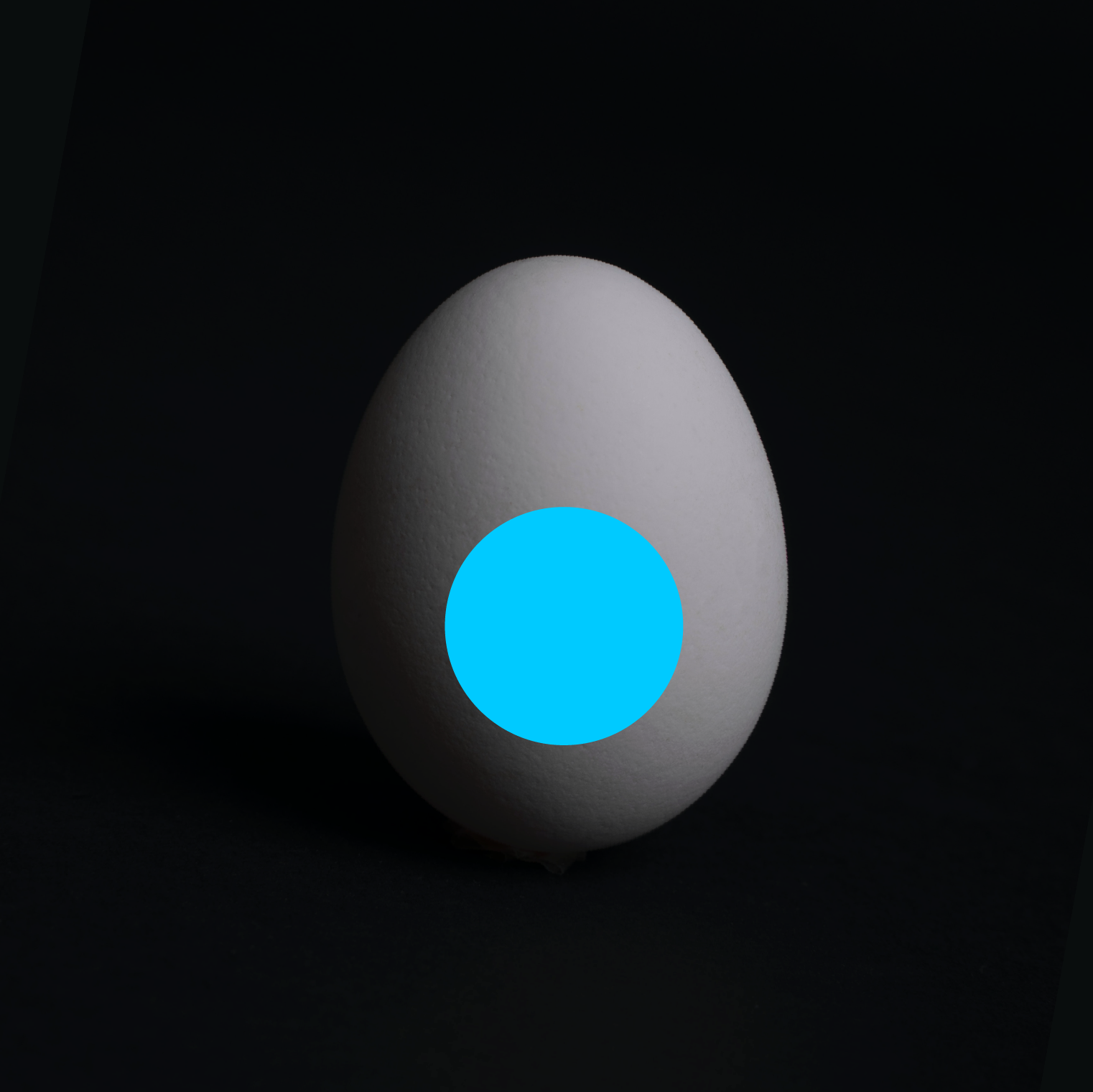 egg branding concept kommigraphics