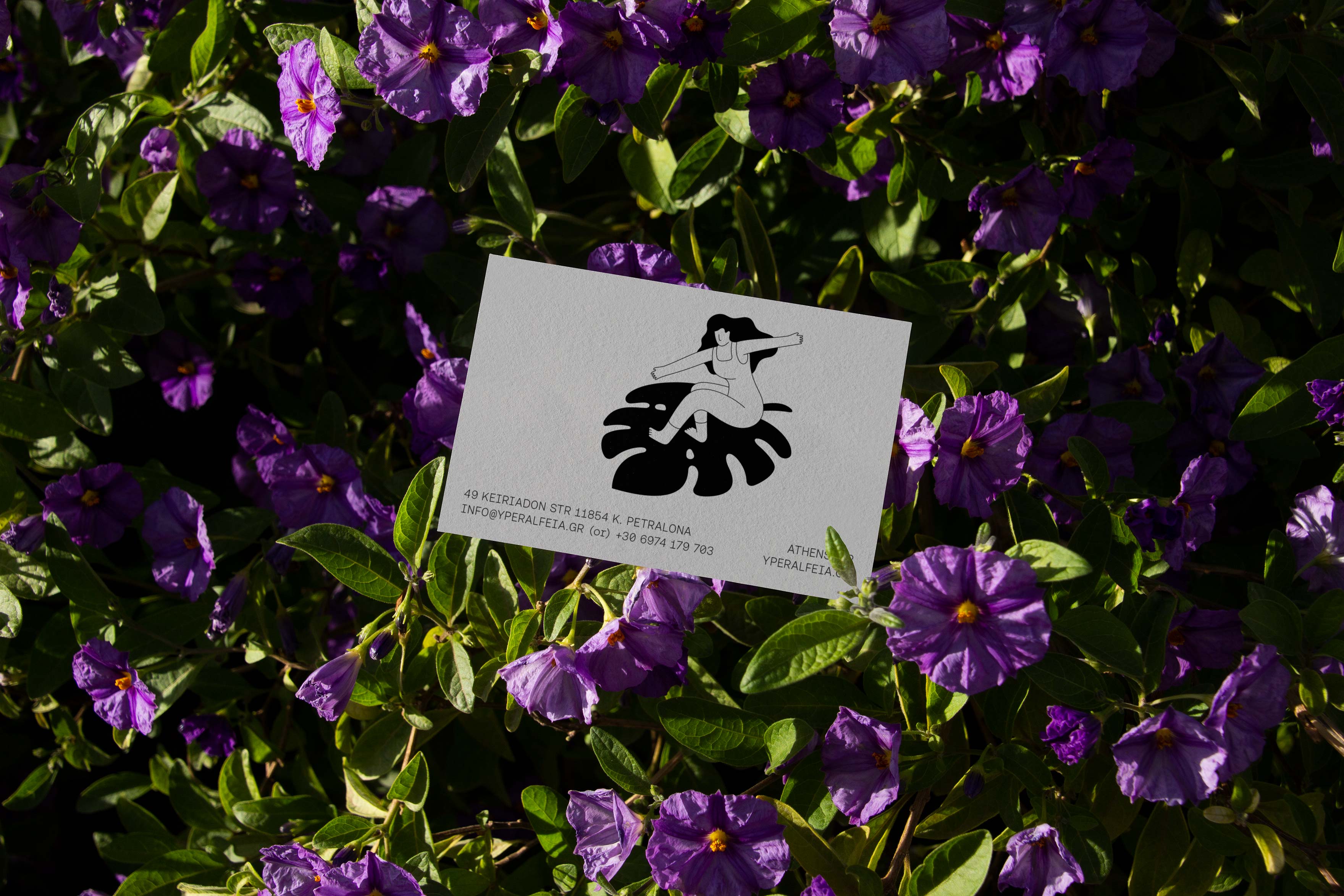 yperalfeia branding cards purple flowers kommigraphics